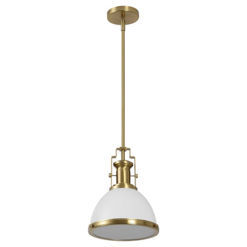 Homer Modern Industrial Iron LED Dome Pendant